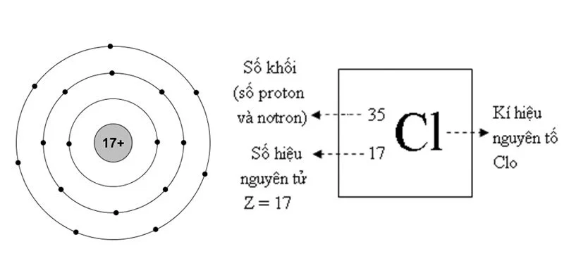 Cái gì thế?